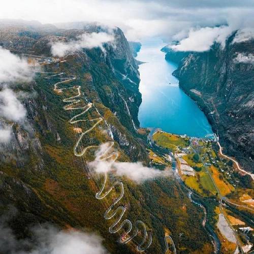 عباس زبردست آی دختر گل فروش گل ارزون نفروش